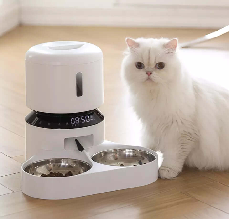 Water food dispenser automatic for dogs and cats, suitable for small large pets puppies kittens kittens rabbits