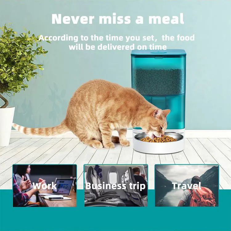 2023 Hot sales high quality 6L cat dog smart automatic wifi pet feeder