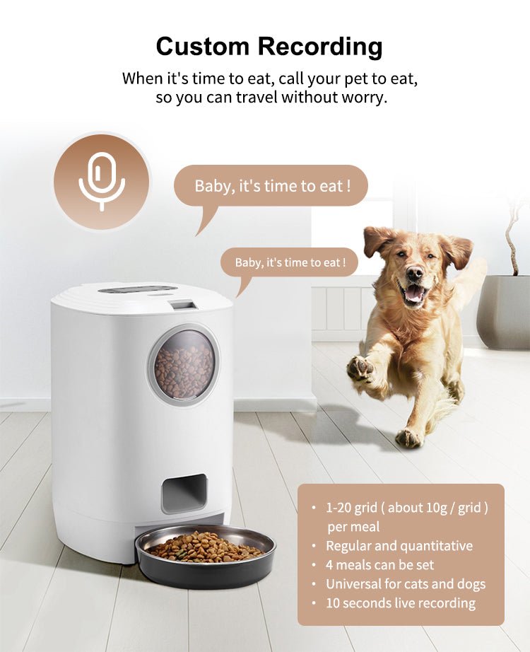 Wifi Remote Control Auto Dog Feeder Wifi Smart Automatic Cat Pet Feeder For Dogs