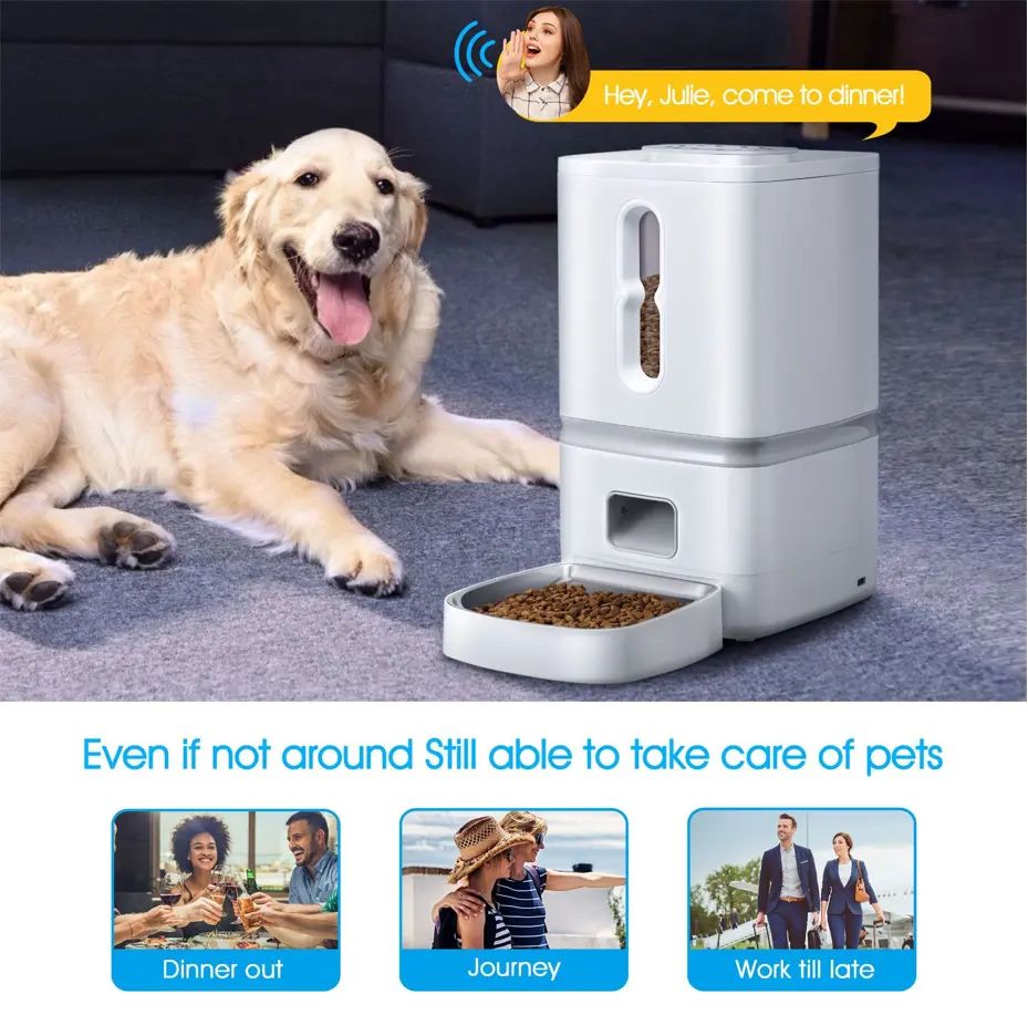 Dry Food Storage Automatic Feeder for Dogs with Transparent and Detachable Container Design Pet Automatic Feeder Smart Wifi pet