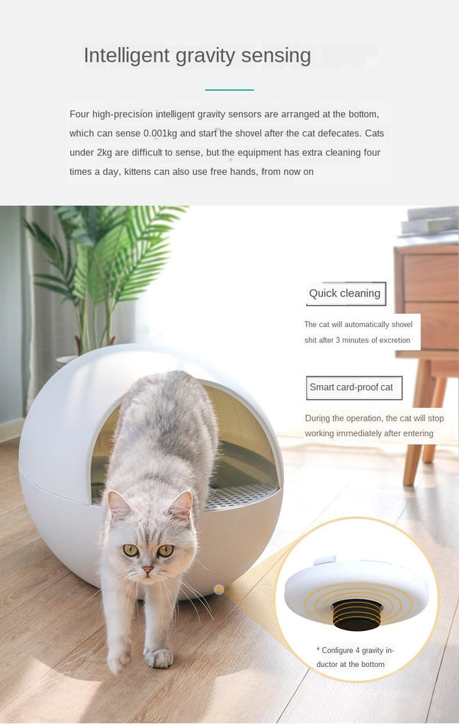 EU Warehouse Lowest Price APP Control Intelligent Smart Self Cleaning Litter Box For Cats Automatic Cat Toilet Litter Box