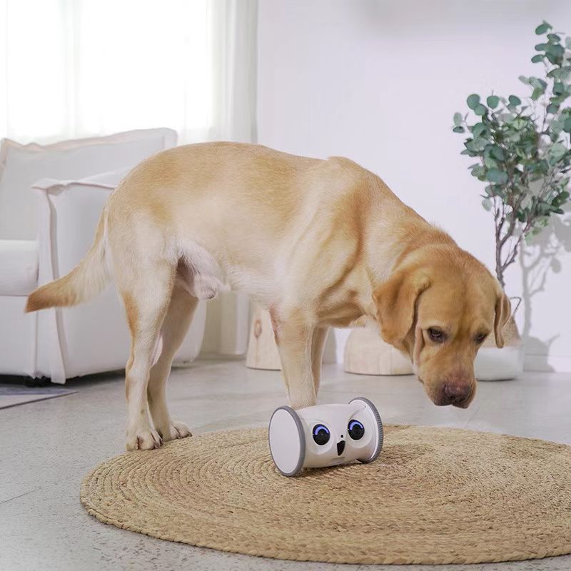 Wholesale Automatic Smart Pet Toy Interactive Owl Robot WIFI with1080P HD Video Camera Cat Dog Pet Supplies