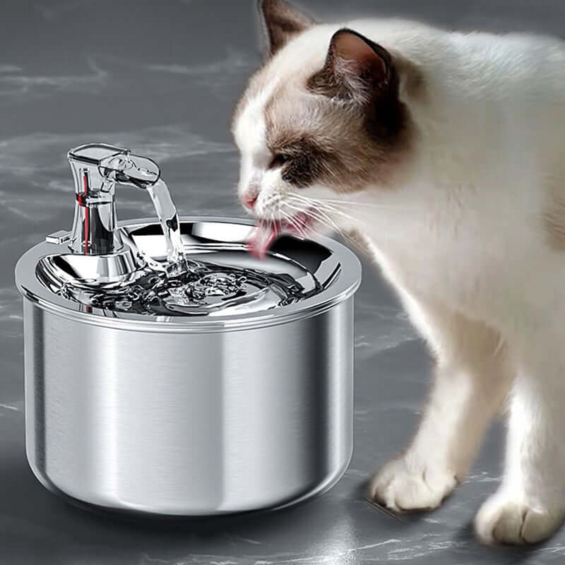 CZPET 3L Pet Water Dispenser Without Electricity Unplugged Automatic Water Bowl Dispenser Gravity Water Dispenser for Cats Water Self Feeder Dog Fountain Dogs Bowl Bottles for Kitten Puppy