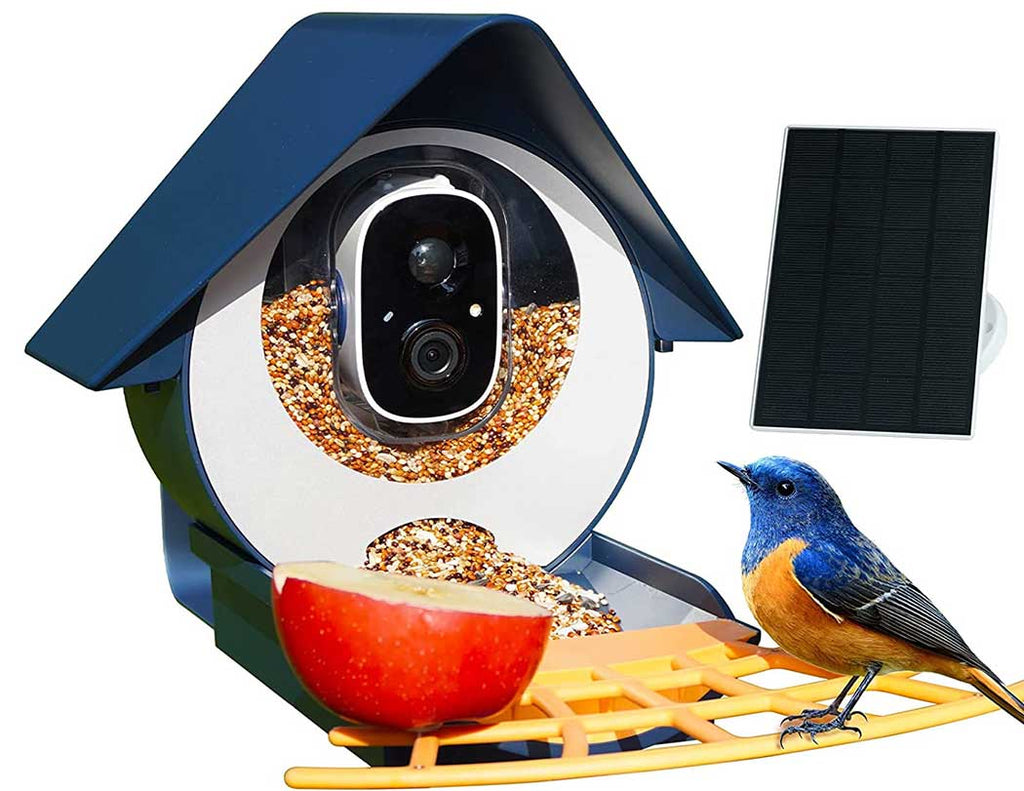 Smart Bird Feeder Solar Charging Identify Bird Species Auto Capture Videos Bird Feeder with Camera