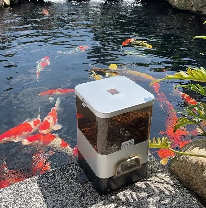 Professional smart WiFi remote automatic fish feeder fish feed machine with APP timing setting