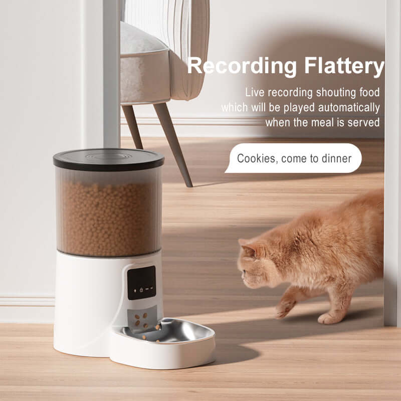 Automatic Cat Feeders 6L Smart Dog Feeder,Timer Voice and Video