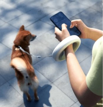 Smart Dog Walking Leash | Glowing LED Safety Lighting System 