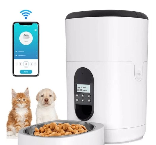 Basics Automatic Electronic Timed Pet Feeder - 6 Portions, Teal