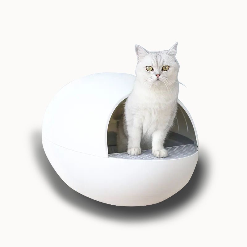 EU Warehouse Lowest Price APP Control Intelligent Smart Self Cleaning Litter Box For Cats Automatic Cat Toilet Litter Box