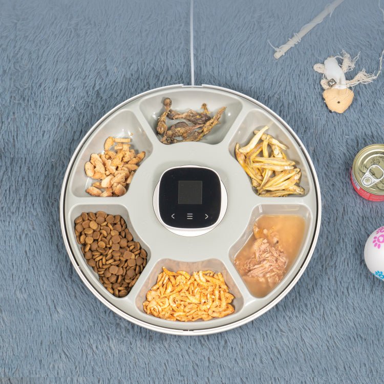 PET HUHOU Automatic Pet Feeder with Digital Timer for Cats and Small Dogs White TUYA APP 6 meals automatic pet food feeder LCD smart programmable time setting food dispenser