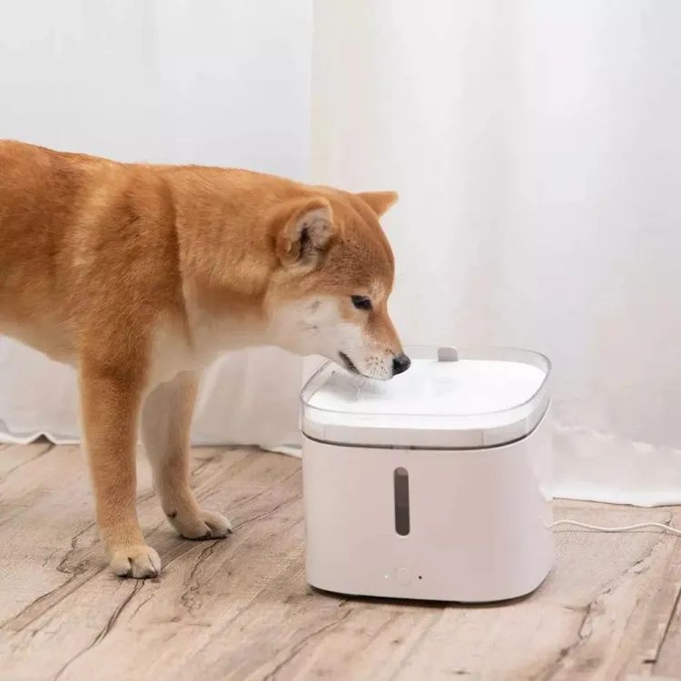 Xiaomi smart pet water dispenser automatic pet water dispenser dog and cat silent water feeder with APP