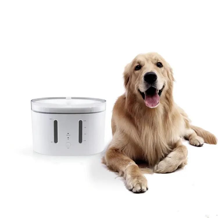 Automatic Pet Water Fountain Smart Pet Water Dispenser Dog Cat Mute Feeder Drinking Bowl