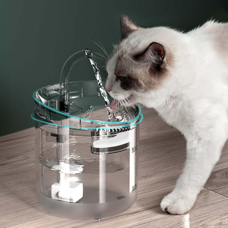 BEQ Automatic cat Water Fountain,2.5L/84oz Indoor Ultra-Quiet Stainless Steel pet Water Dispenser,BPA Free,Visible Water Level,with a Large Size Filter,Suitable for Cats, Small pet Dogs & Other Pets