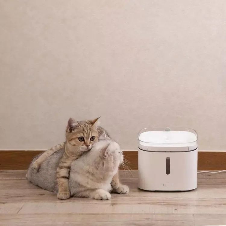 China Manufacture Original Xiaomi Mijia 2L Smart Pet Water Dispenser Automatic Pet Water Drinking Fountain US Plus