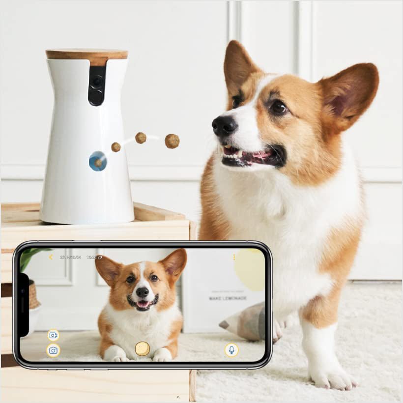 Wholesale Smart Dog Toys Auto Pet Feeder Wifi with Night Vision and Barking Alerts Designed for Dogs