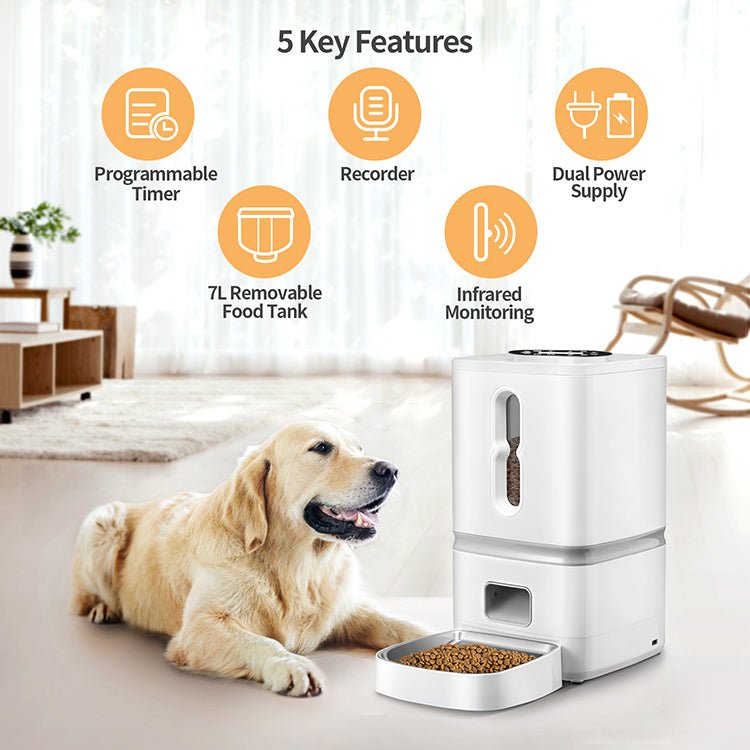 Dry Food Storage Automatic Feeder for Dogs with Transparent and Detachable Container Design Pet Automatic Feeder Smart Wifi pet