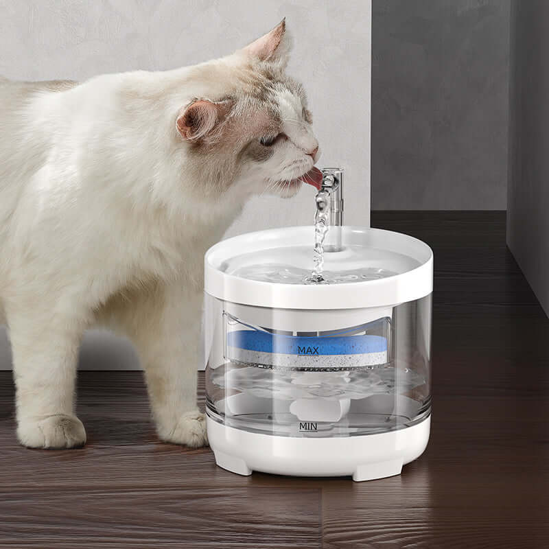 PetSafe Drinkwell Platinum Dog and Cat Water Fountain, Automatic Drinking Fountain for Pets, 168 Ounce