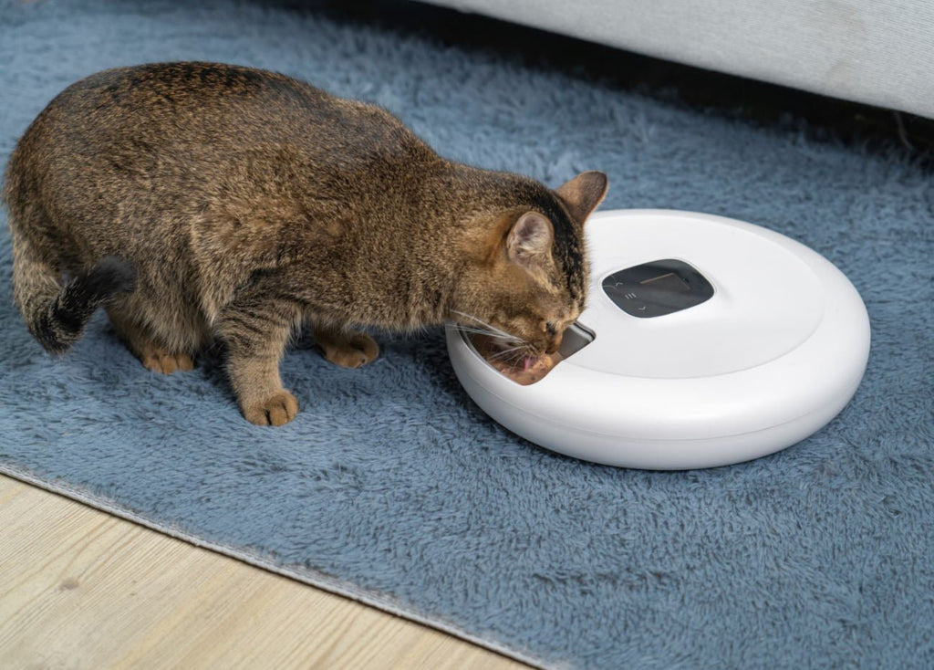 PET HUHOU Automatic Pet Feeder with Digital Timer for Cats and Small Dogs White TUYA APP 6 meals automatic pet food feeder LCD smart programmable time setting food dispenser