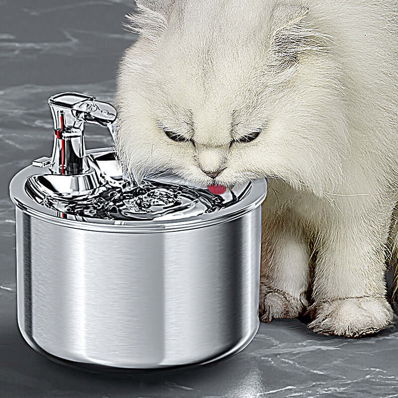 2.5L Pet Water Fountain Smart Pets Cat Water Feeder Dispenser Cat Drinking  Filter Cat Fountain - China Pet Water Fountain and Pet Products price