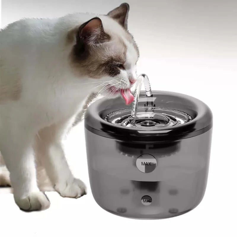 Pet water fountain with automatic best sale shut off