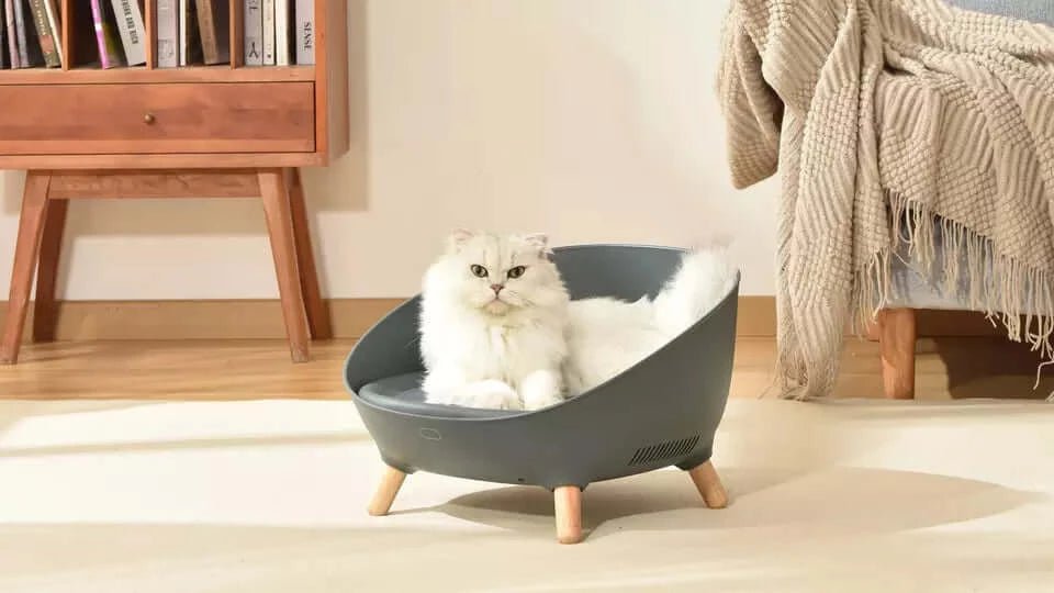 Bedsure Cat Beds for Indoor Cats - Cat Cave Bed Cat House Cat Tent with Removable Washable Cushioned Pillow, Kitten Beds Cat Hut, Small Dog Bed, Dark Grey, 15 inches