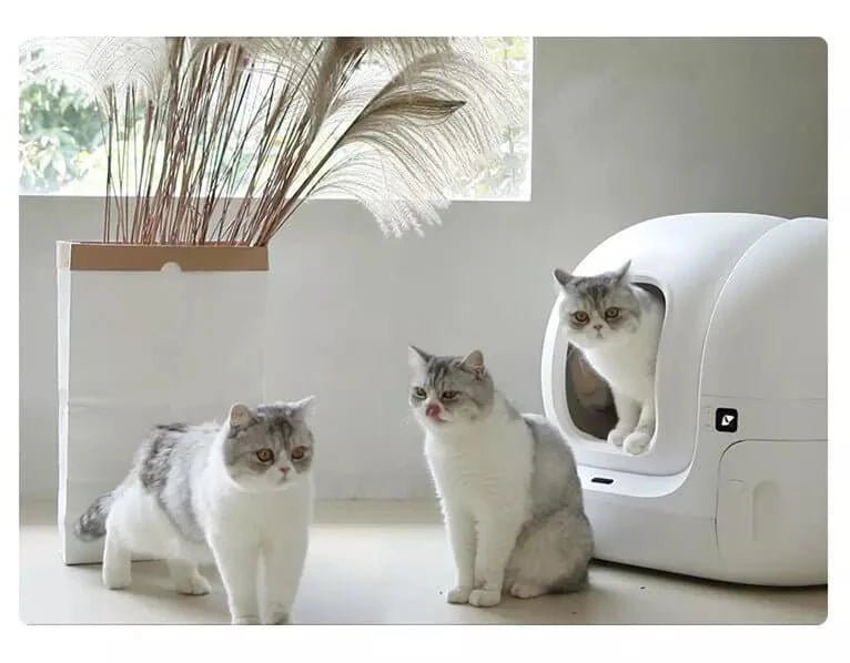 Cat Litter Box with Lid, Fully Enclosed Splash-Proof Litter Box,Top Entry Cat Litter Box, Easy to Assemble and Installation (Grey, Small)