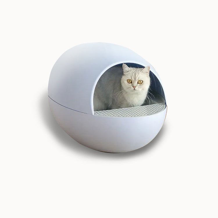 EU Warehouse Lowest Price APP Control Intelligent Smart Self Cleaning Litter Box For Cats Automatic Cat Toilet Litter Box