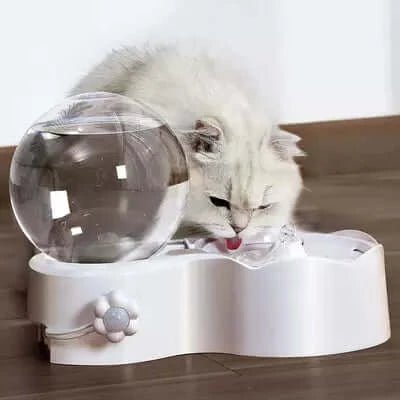 Cat Water Dispenser with Pet Food Mat for Small Medium Dog Pets Puppy Kitten Big Capacity 1.5 Gallon