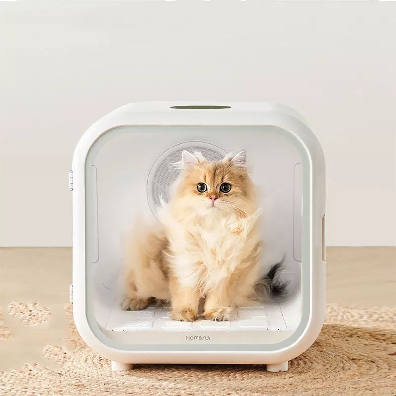 Pet Cat Dryer Room Dry Room Machine Automatic Cabinet Pet Cat Dryer Box