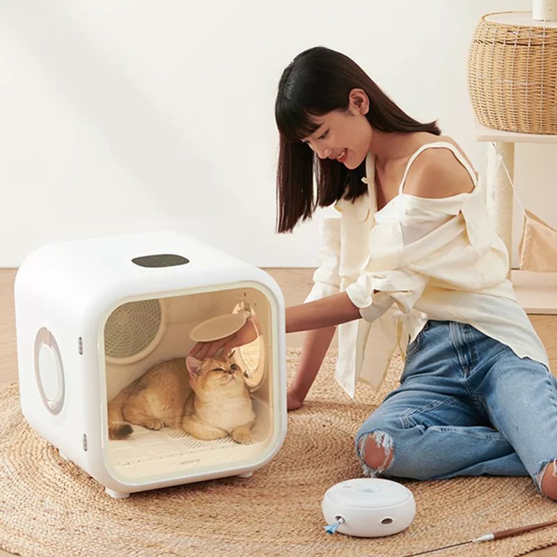 For Pet Cat Wholesale Heating Adjustable Pet Supplies Newest Professional Automatic Cat Dryer Machine