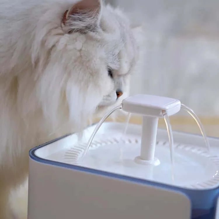 Cat Water Fountain-84oz/2.5L Quiet Pet Water Fountain, Automatic Dog Water Bowl Dispenser with Full Year Filters, Removes 99.99% of Impurities, Human Grade Drinking Fountain White