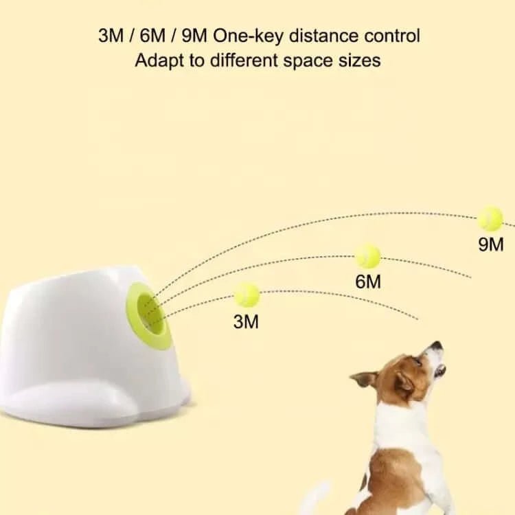  Ball Launcher for Dogs - Automatic Dog Ball Launcher with 5 Tennis Ball - Interactive Dog Toys Pet Ball Indoor Thrower Machine