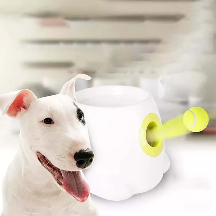  Automatic Dog Feeder, Automatic Ball Launcher Dog Interactive Toy Dog Fetch Toy Pet Ball Thrower Throwing Game for Small and Medium Size Dogs