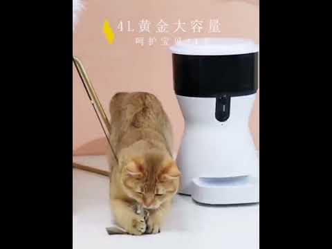 Automatic Cat Feeder, Arspic 4L Auto Cat Food Dispenser with Programmable Timer Feeder and Portion Control Automatic Pet Food Feeder for Small & Medium Cats Dogs with Desiccant Bag & Voice Recorder