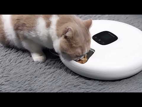 PET HUHOU Automatic Pet Feeder with Digital Timer for Cats and Small Dogs White TUYA APP 6 meals automatic pet food feeder LCD smart programmable time setting food dispenser