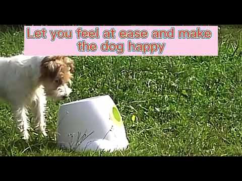 AFP Automatic Dog Ball Launcher Automatic Ball Launcher for Dogs Interactive Puppy Pet Ball Indoor Thrower Machine Fetch Machine for Small and Medium Size Dogs, 3 Balls Included (2 inch)